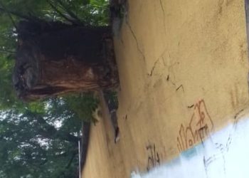Trujillo | Al borde del colapso se encuentra pared perimetral del liceo Rafael Rangel