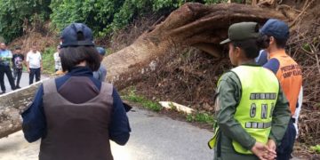 Durante dos horas fue restringido el paso hacia Campo Elías