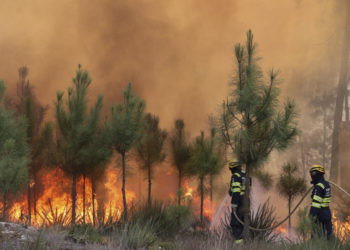 El incremento de los incendios forestales aumenta el calentamiento de la superficie terrestre