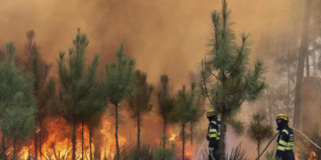 El incremento de los incendios forestales aumenta el calentamiento de la superficie terrestre