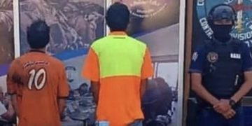 Dos detenidos por cultivar marihuana en Pueblos del Sur del Mérida