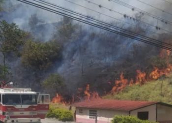 El incendio se mantiene activo  | Más de 70 hectáreas consumidas por Incendio Forestal en Tovar