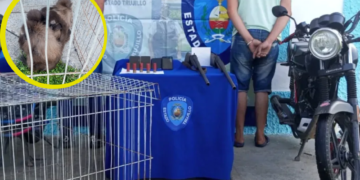 Policía detiene sujetos por comercialización de fauna silvestre en El Paradero
