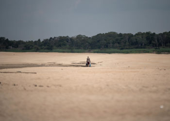 Los principales ríos de la Amazonía brasileña están en sus mínimos históricos