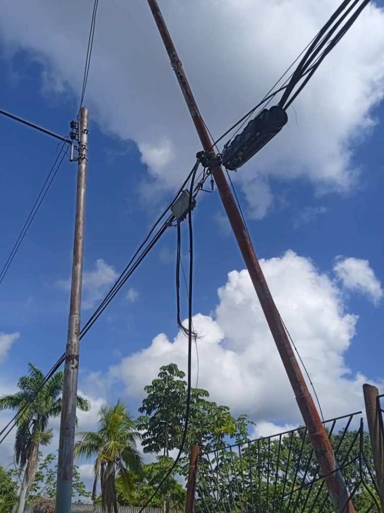 Los cables de comunicación telefónica fueron destrozados por el árbol caído.