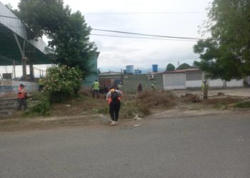 Podados peligrosos arboles cercanos a cancha techada de El Trompillo I en Sucre