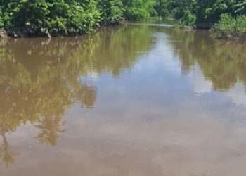 Trujillo | Numerosos damnificados han dejado las últimas lluvias precipitadas en el municipio La Ceiba