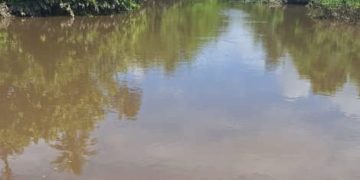 Trujillo | Numerosos damnificados han dejado las últimas lluvias precipitadas en el municipio La Ceiba