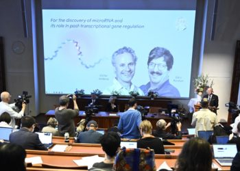 Nobel de Medicina para descubridores del micro-ARN, mecanismo vital para controlar los genes