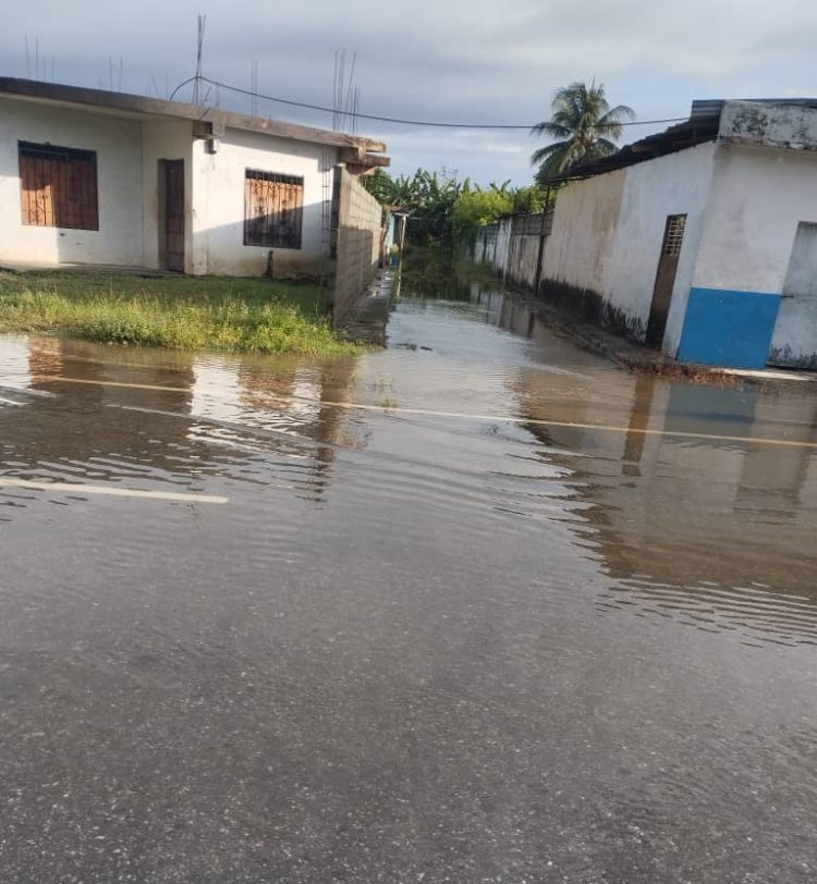 Una muestra del agua que ha inundado viviendas y sectores en Santa Apolonia.