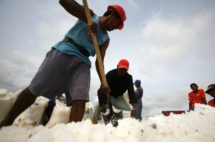 Fotografía de archivo en donde se ve un trabajador en una mina de sal en Maracaibo, estado de Zulia (Venezuela). EFE/David Fernández