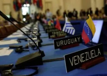 Oposición anuncia que presentará pruebas del “triunfo” ante la OEA