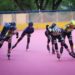 Desde el Patinódromo «Edicsa Parra» | Cuna del patinaje en Venezuela vuelve a brillar