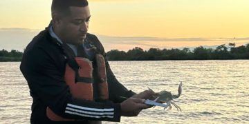 Mérida inicia temporada de captura del cangrejo azul 2024-2025