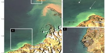 Derrames en medioambiente marino venezolano  | Por: Isaías Márquez