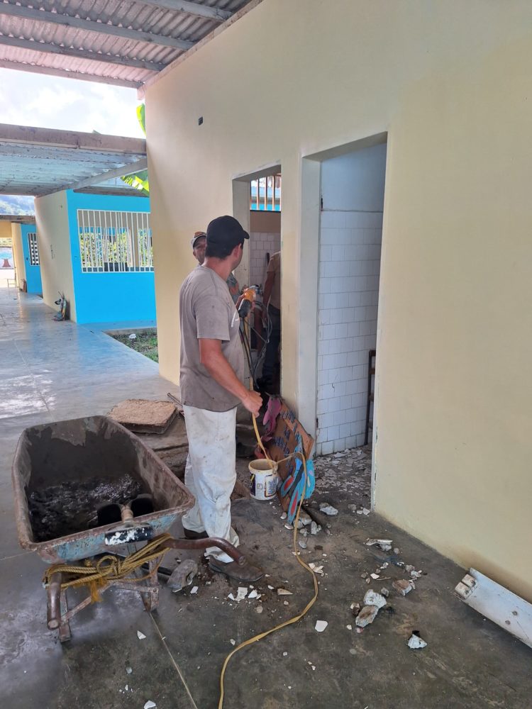 Araguaney en alto riesgo se talará en Boconó a petición de padres y representantes