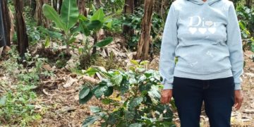 Accidente de septuagenaria en Boconó no fue investigado