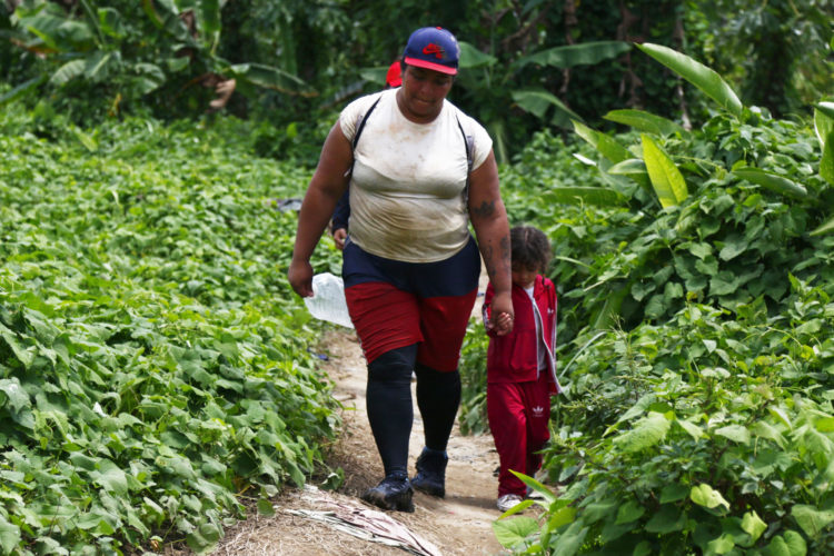 Solidaridad entre migrantes, la diferencia entre morir o sobrevivir a la selva del Darién