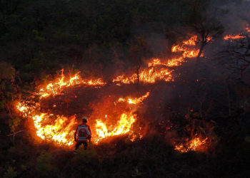 Los incendios de este año en Brasil han afectado directamente a 18,9 millones de personas