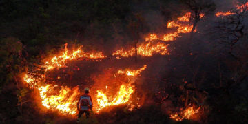 Los incendios de este año en Brasil han afectado directamente a 18,9 millones de personas