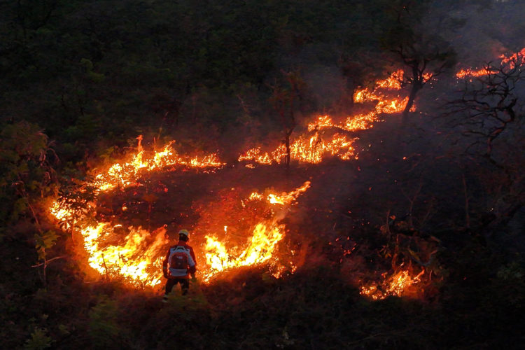 Fotografía de archivo del 24 de septiembre de 2024 de un incendio forestal en la Reserva Ecológica Contagem, en Brasilia (Brasil). EFE/ Andre Borges