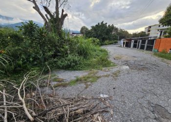 Mérida | Gran hueco se convirtió en el Jardín de Santa Juana
