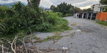 Mérida | Gran hueco se convirtió en el Jardín de Santa Juana