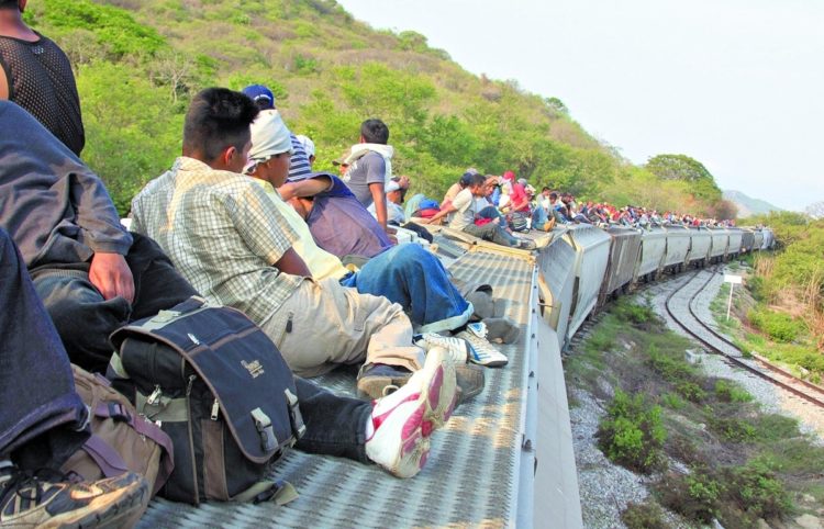 Foto del Tren La Bestia. Tomada de Internet