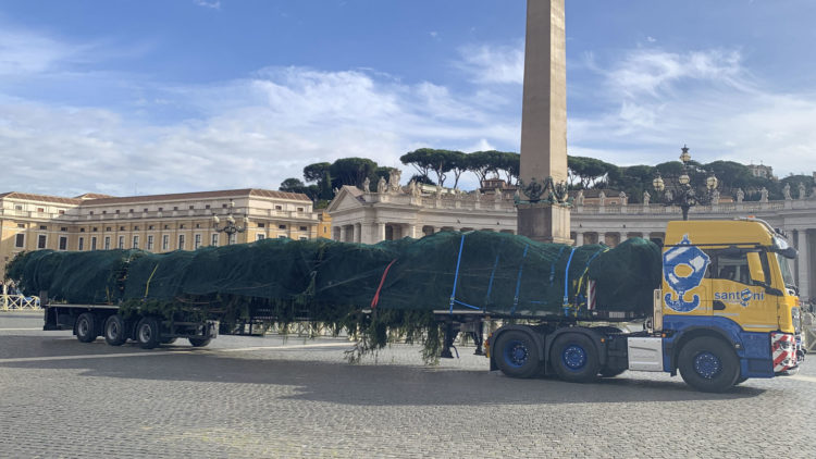 El abeto gigante que adornará el Vaticano y cuya tala en Ledro (norte) causó indignación en Italia llegó este jueves a la Plaza de San Pedro, donde será iluminado el próximo 7 de diciembre, cuando se inaugure también el tradicional pesebre navideño. EFE TV