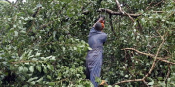 Las provincias cubanas afectadas por el huracán Rafael pasan a la fase de «recuperación»