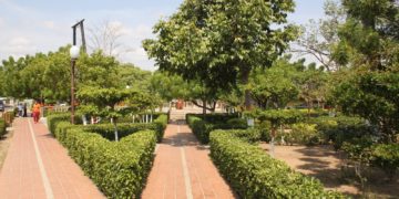 El Dividive de ayer. Américo Betancourt Lobo / Por Pedro Frailán