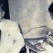 Laudelino Mejías: Un Conticinio para la eternidad / Por Pedro Ruiz