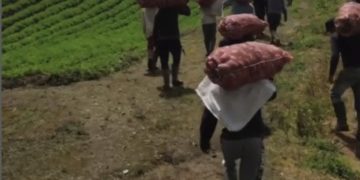 Productores del páramo merideño articulan esfuerzos para defender su producción