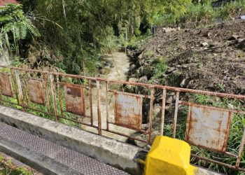 Lluvias encienden alarmas en el estado Mérida