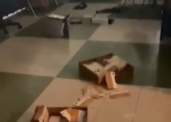 Mérida | Delincuentes volvieron a vandalizar a la Biaci-ULA