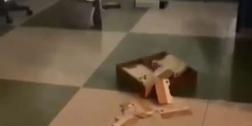 Mérida | Delincuentes volvieron a vandalizar a la Biaci-ULA