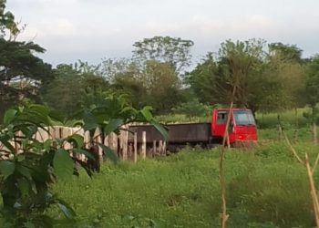 Táchira | En Panamericano denuncian contaminación y enfermedades por cueros de ganado al aire libre 