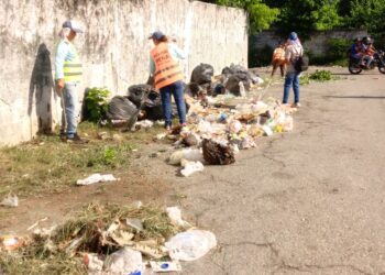 Cumplidas intensas y consecutivas jornadas de trabajo para mantener limpias calles de Sabana de Mendoza