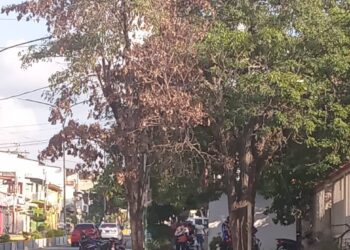 Cumplidas intensas y consecutivas jornadas de trabajo para mantener limpias calles de Sabana de Mendoza
