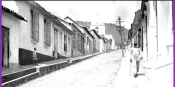 En las galleras es donde se conoce el alma venezolana / Por Alfredo Matheus