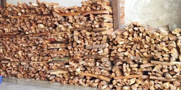 Crisis del gas causa deforestación y graves daños ambientales en Mérida