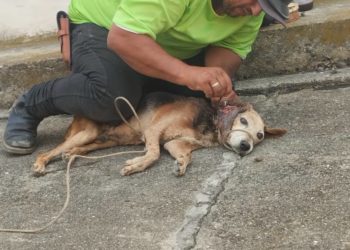 Exitosa jornada de pesquisa de cáncer de próstata en Boconó
