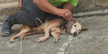 Exitosa jornada de pesquisa de cáncer de próstata en Boconó