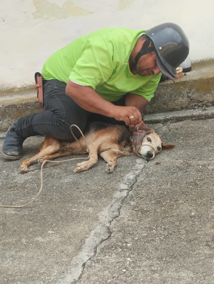 Foto: Cortesía periodista Alirio Altuve