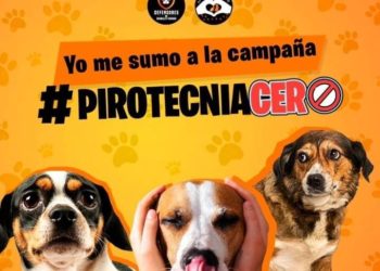 Ayuda animal exhorta a la población a evitar los fuegos artificiales