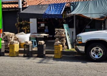 En plena temporada navideña: Mérida a leña