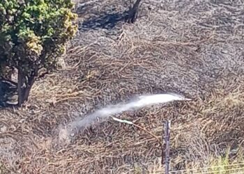 Enorme bote de aguas blancas dejó incendio de vegetación en zona sur de Mérida