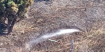 Enorme bote de aguas blancas dejó incendio de vegetación en zona sur de Mérida