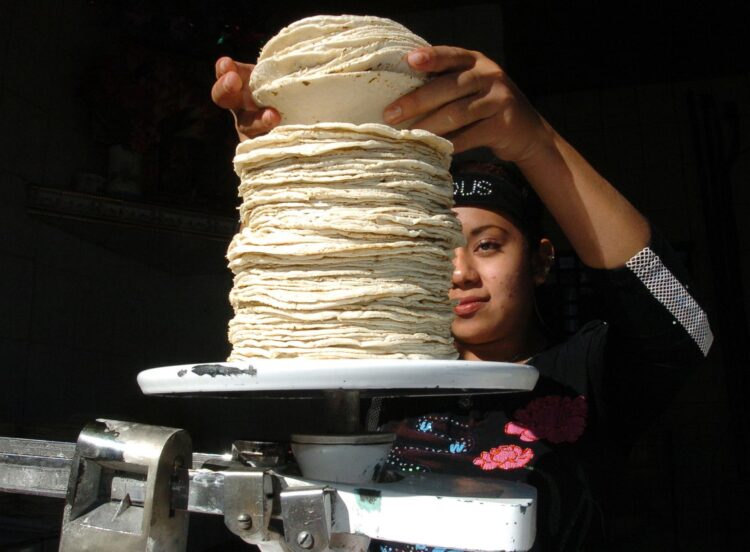 Una fotografía de archivo de una empleada en un comercio de tortillas en Ciudad de México (México). EFE/Mario Guzmán