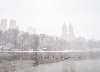 Al menos cinco personas muertas en el peor temporal de nieve en décadas en EE.UU.